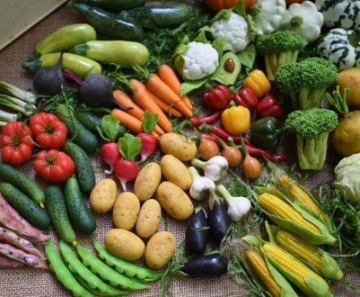 Експорт сільськогосподарської продукції в січні скоротився на 13% на тлі спалаху коронавірусу