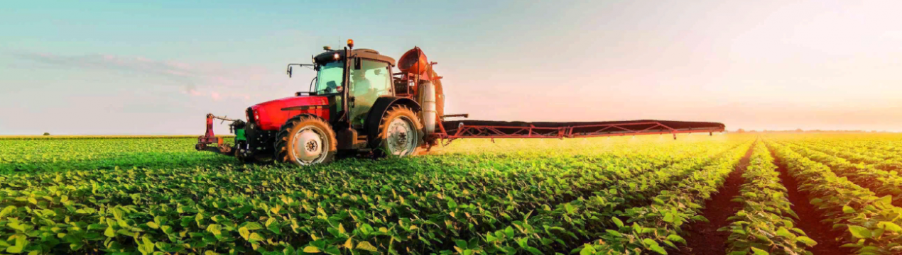 Трансформація ринку сільськогосподарських культур або як коронавірус впливає на продовольчу безпеку