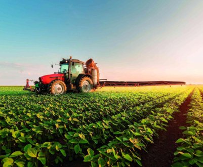 Трансформація ринку сільськогосподарських культур або як коронавірус впливає на продовольчу безпеку