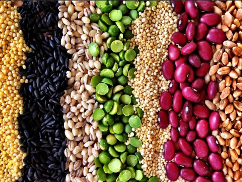 Трансформація ринку сільськогосподарських культур або як коронавірус впливає на продовольчу безпеку Трансформація ринку сільськогосподарських культур або як коронавірус впливає на продовольчу безпеку