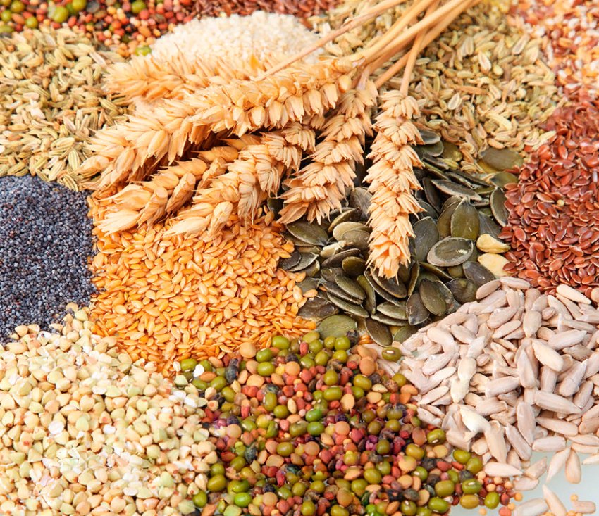 Трансформація ринку сільськогосподарських культур або як коронавірус впливає на продовольчу безпеку Трансформація ринку сільськогосподарських культур або як коронавірус впливає на продовольчу безпеку