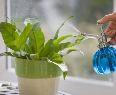 Крапельний полив для кімнатних рослин власноруч