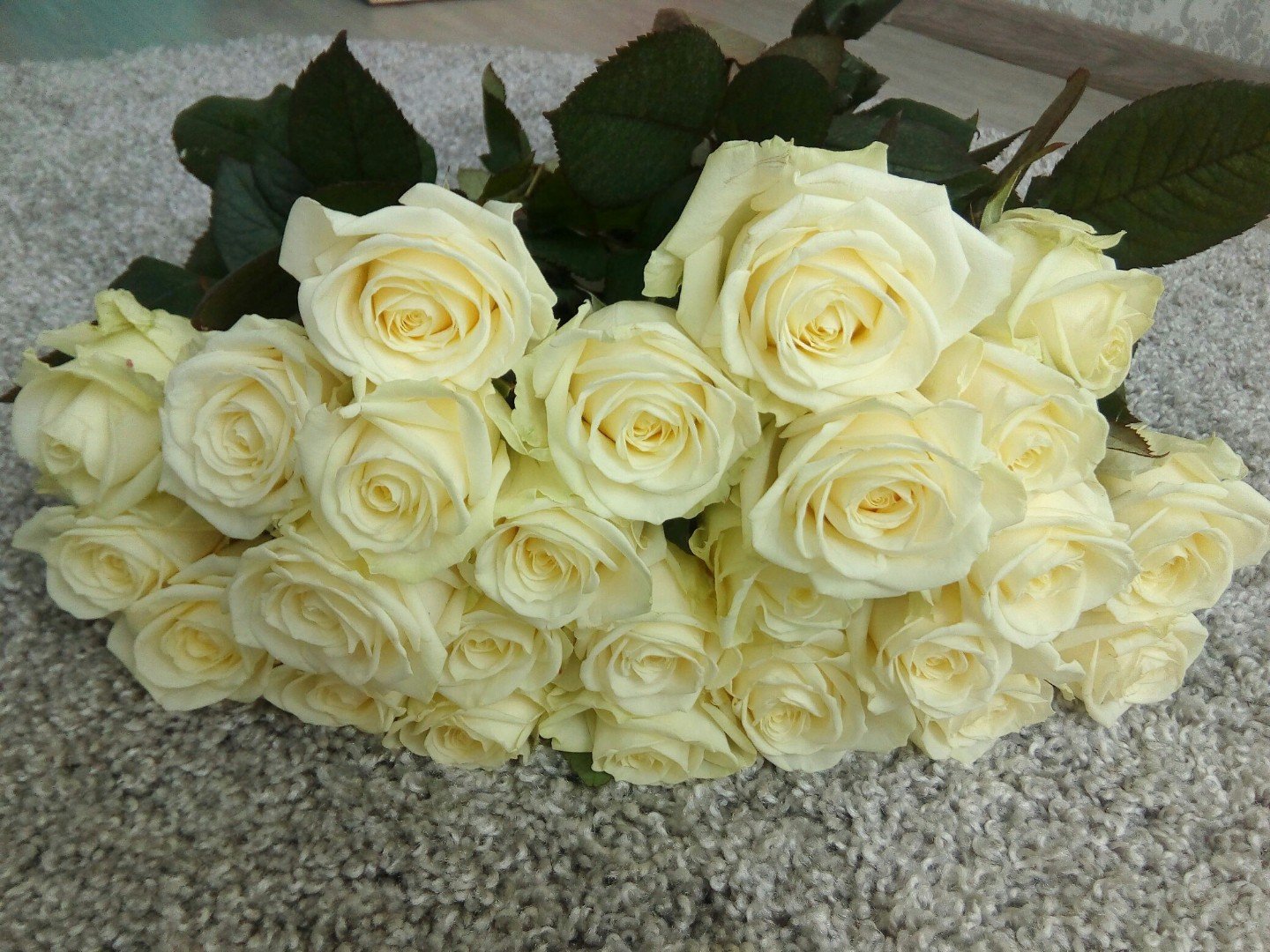 Чери аваланж роза