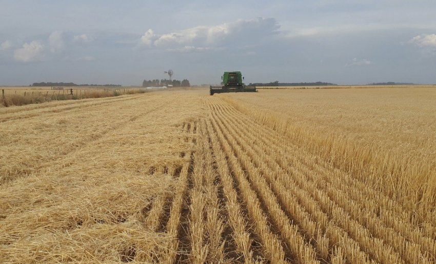 Сільське господарство оголошує про заходи попередження для сектору під час Covid-19 Сільське господарство оголошує про заходи попередження для сектору під час Covid-19
