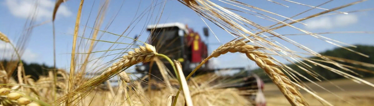 Сільське господарство оголошує про заходи безпеки для сектору в умовах Covid-19