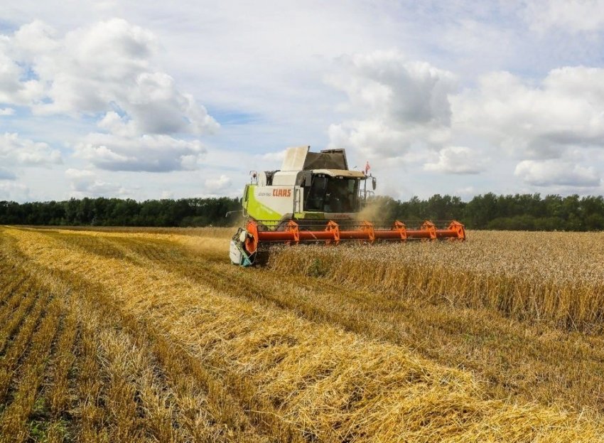 Сільське господарство оголошує про заходи попередження для сектору під час Covid-19 Сільське господарство оголошує про заходи попередження для сектору під час Covid-19