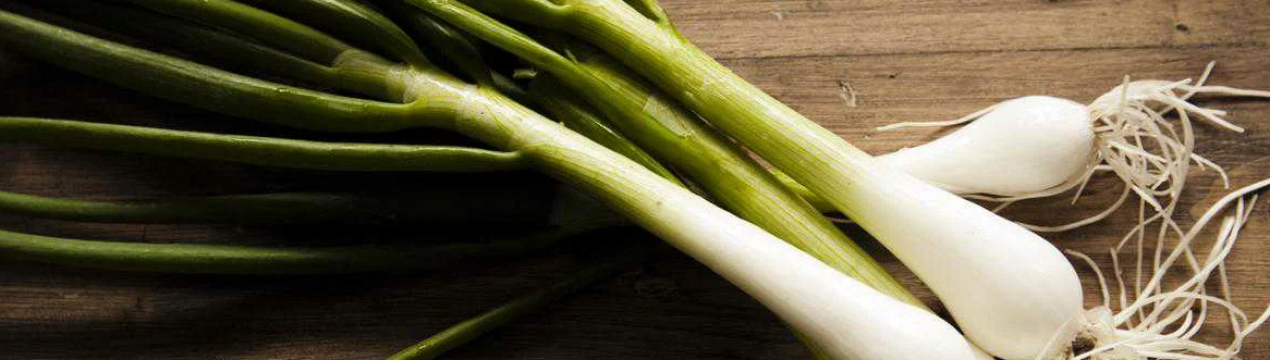 Чому лук не можна тримати в холодильнику і як правильно його зберігати?