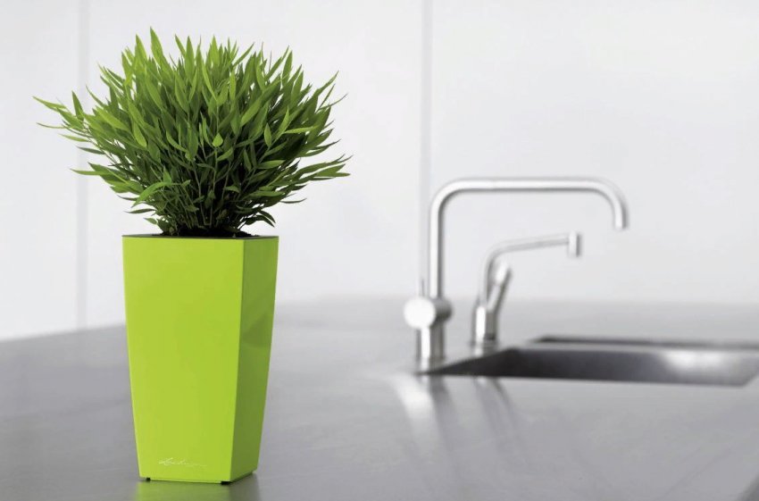 Прибирання вдома під час пандемії коронавірусу: як захистити свій будинок Прибирання вдома під час пандемії коронавірусу: як захистити свій будинок