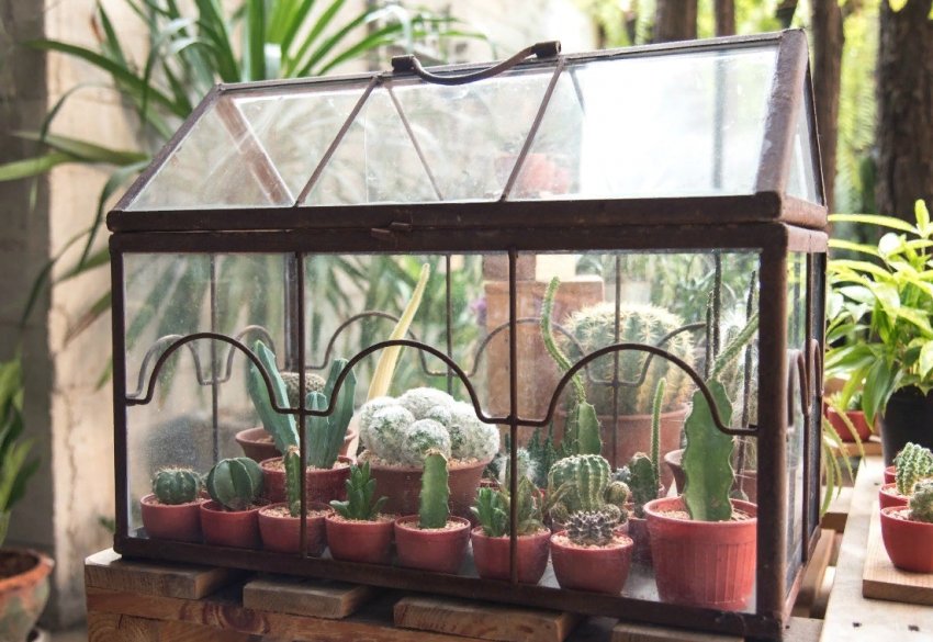 Крапельний полив для кімнатних рослин своїми руками Крапельний полив для кімнатних рослин своїми руками