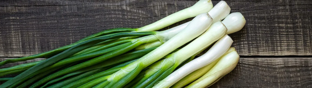 Вирощування цибулі в Хорватії: правильне зволоження може підвищити врожайність до 50%