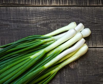 Вирощування цибулі в Хорватії: правильне зволоження може підвищити врожайність до 50%