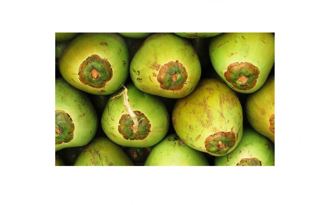«CoCo Green»
