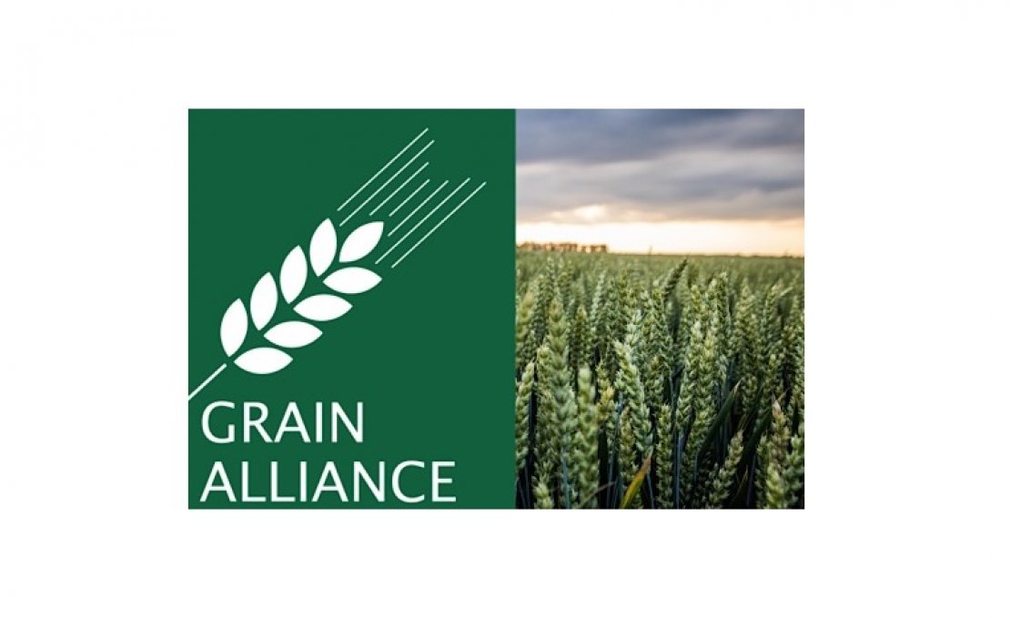 ООО «Grain Alliance»
