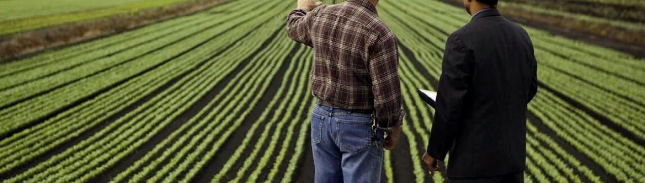 Результати тренінгів для малих і середніх ферм