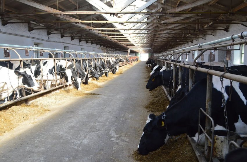 Підсумки тренінгів для малих та середніх ферм Підсумки тренінгів для малих та середніх ферм