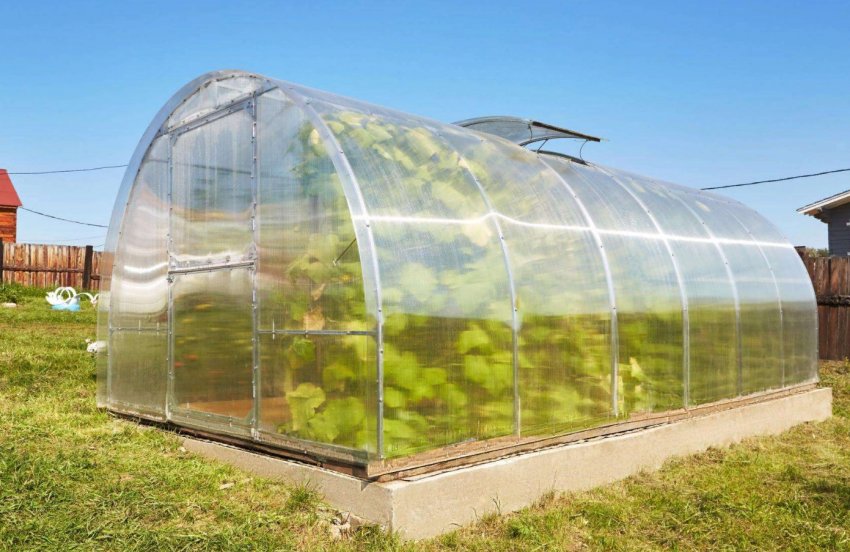 Необхідно мінімізувати шкоду від сильного вітру для сільськогосподарських об'єктів