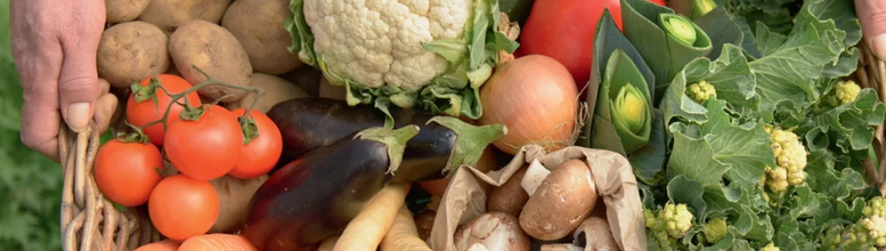 Медичні експерти навчають нігерійців важливості натуральних продуктів