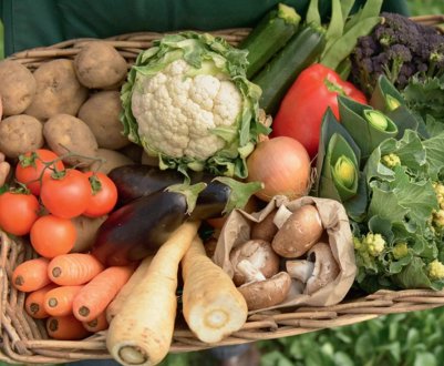 Медичні експерти навчають нігерійців важливості натуральних продуктів