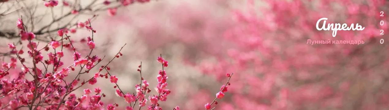 Місячний календар на квітень 2020