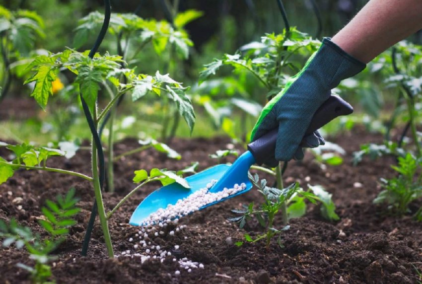 Перша мультибрендова агро-програма запущена в Бразилії Перша мультибрендова агро-програма запущена в Бразилії