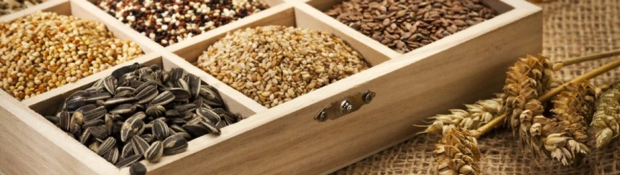 Виробники насіння вимагають неперервного переміщення сільськогосподарських ресурсів перед початком сезону муссона