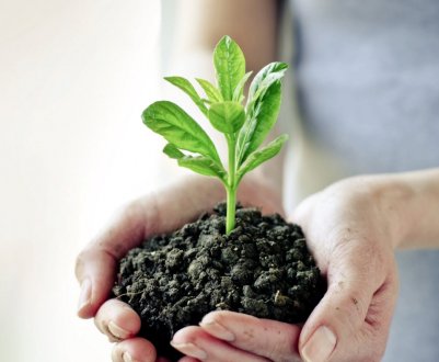 Україні активно вносять засоби захисту рослин