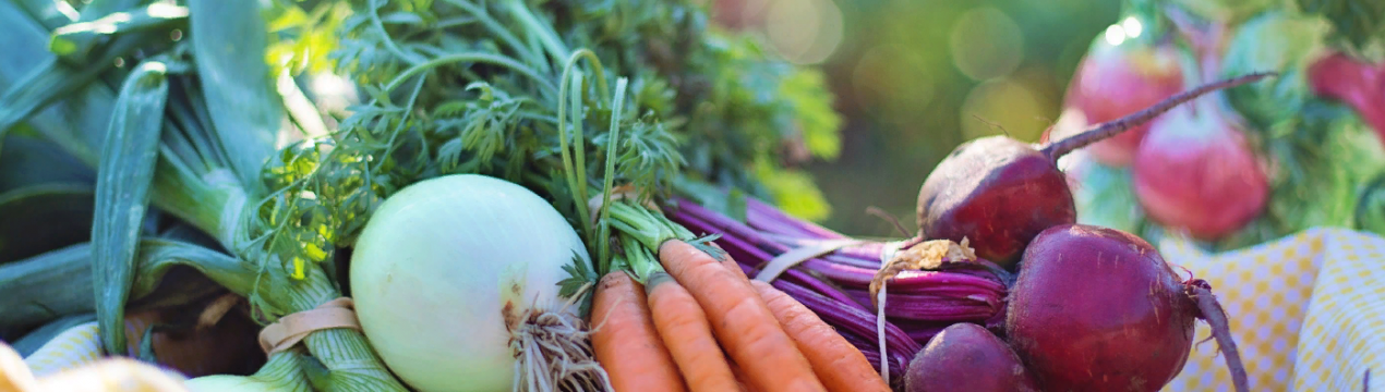 Збереження сільськогосподарської продукції в США під час пандемії