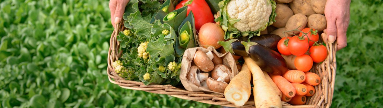 Європейська комісія не знизила ставку на культури в рамках органічного сільського господарства