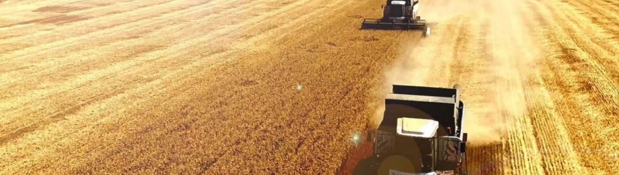 Сільське господарство та суміжні галузі звільнені від обмежень в Індії