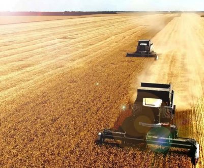 Сільське господарство та суміжні галузі звільнені від обмежень в Індії