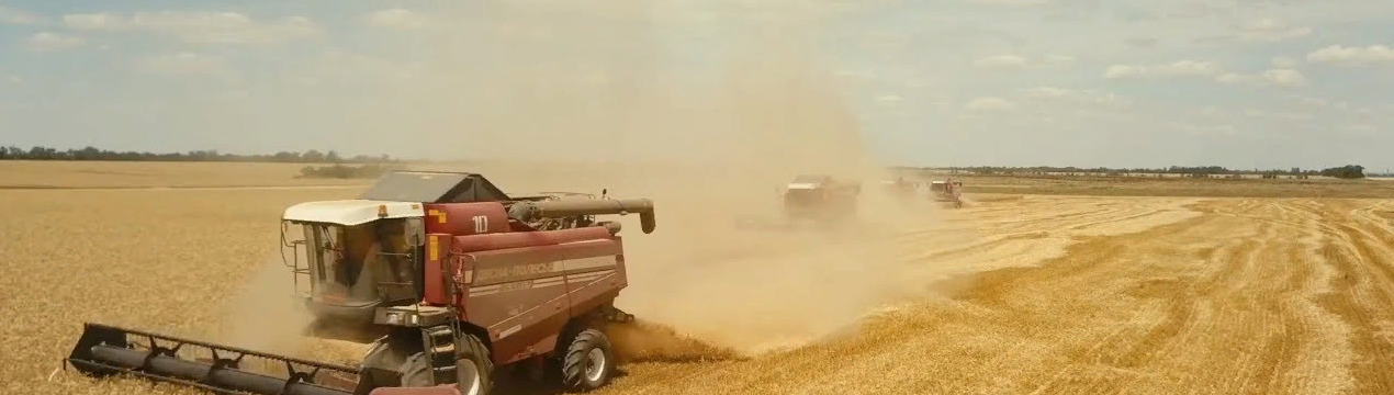 Фермерам потрібно дотримуватися соціальної відстані, бути обережними під час збирання врожаю