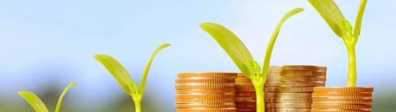 Пошук стартового капіталу для сільського господарства