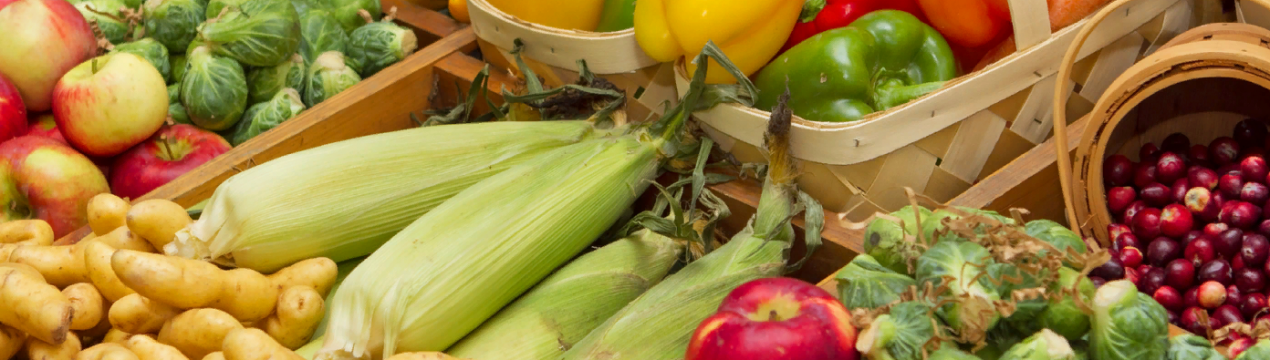 Міністерство сільського господарства Болгарії представило заходи щодо підтримки садівників та городників