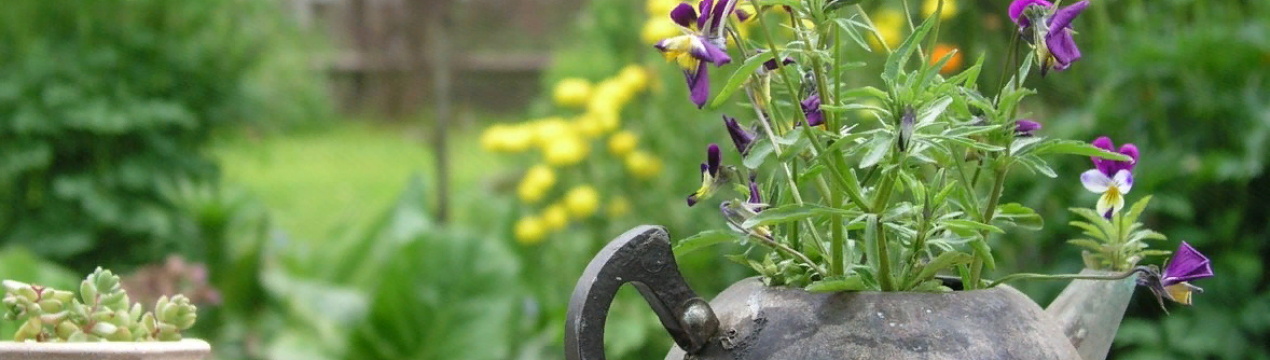 Еко ідеї для облаштування ділянки