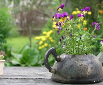 Еко ідеї для облаштування ділянки