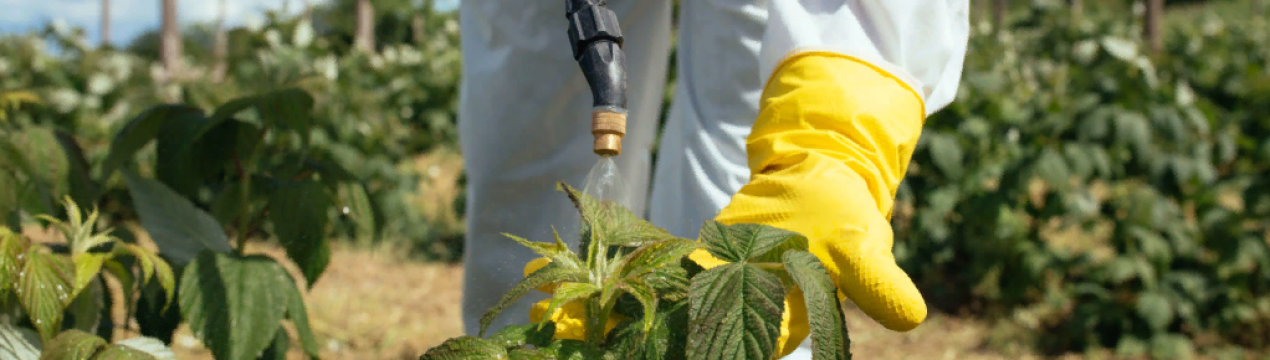 Термін подачі документів для зимового розпилення продовжено до 15 травня