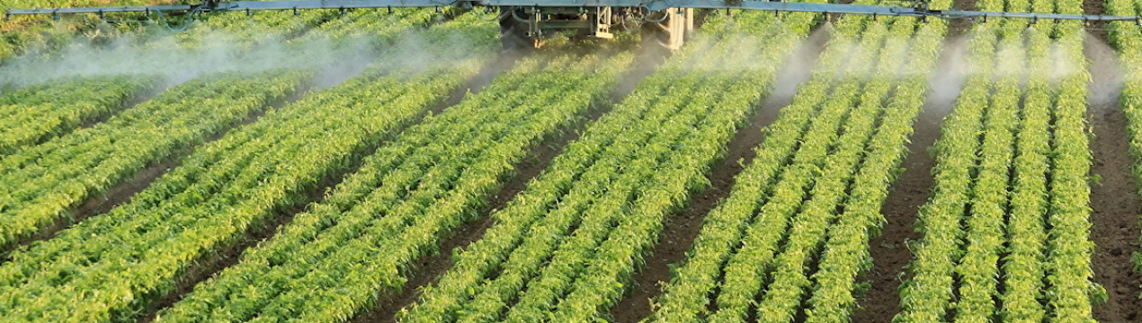 Органічні виробники Канади розпочали обговорення щодо врожайності