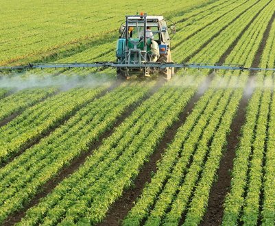 Органічні виробники Канади розпочали обговорення щодо врожайності
