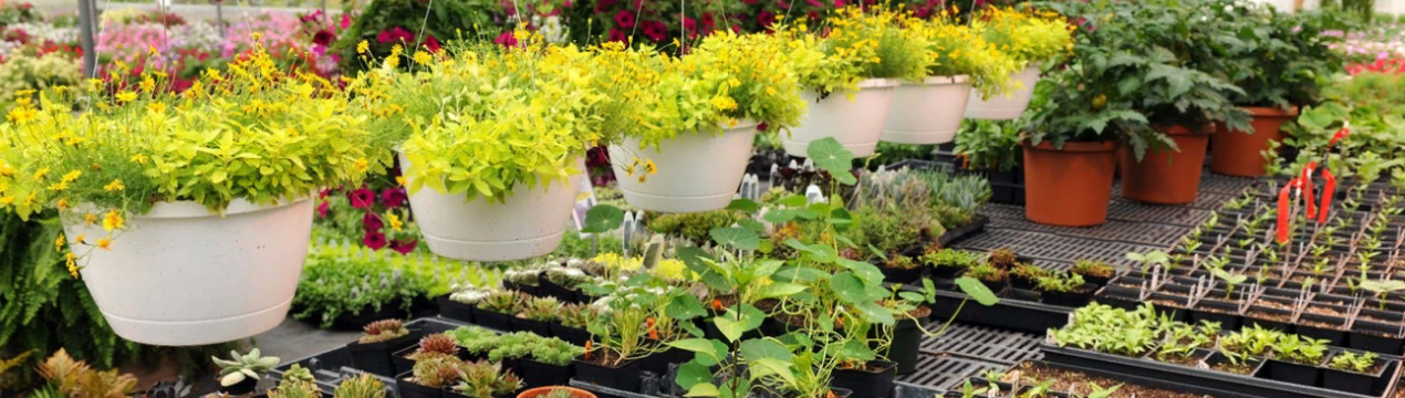 Не дозволяйте виробникам з Угорщини загинути!