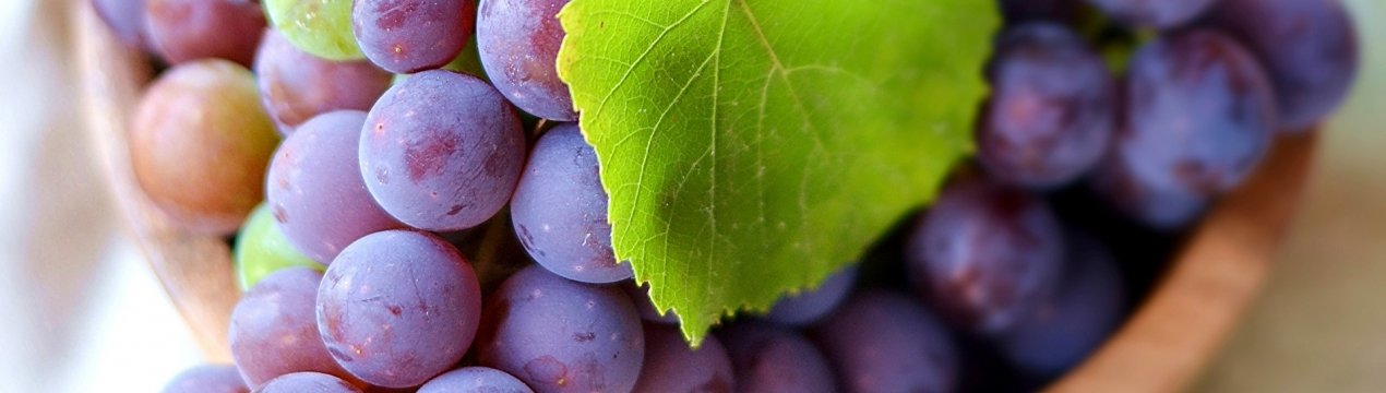 Виноград в Новій Зеландії зібраний відповідно до суворого протоколу