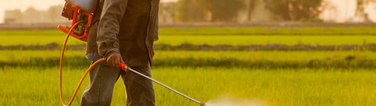 Болівія: понад 14% імпорту агрохімікатів є незаконним