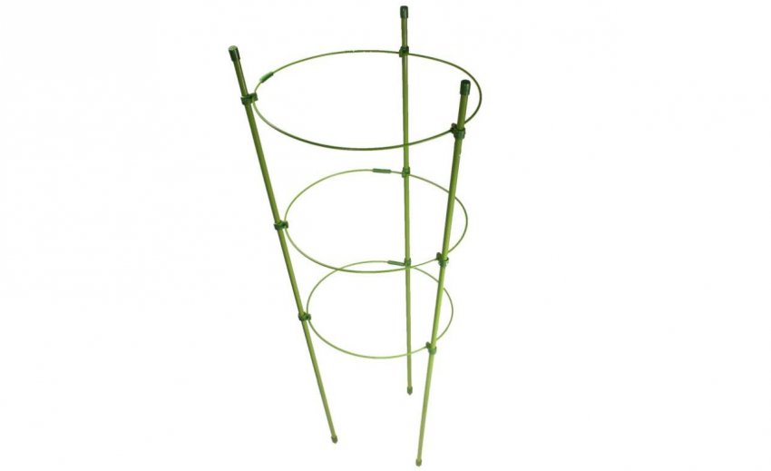 Опора для троянд Опора для троянд