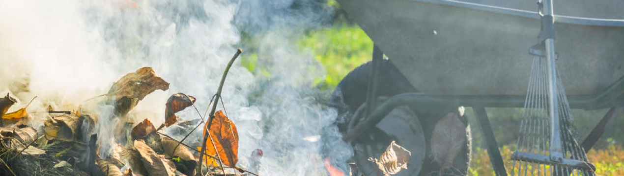 Регулювання вижигання садових відходів за регіонами Угорщини