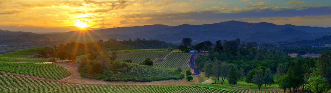 LA UNIÓ оцінює прямі втрати від COVID-19 приблизно в 65 млн євро