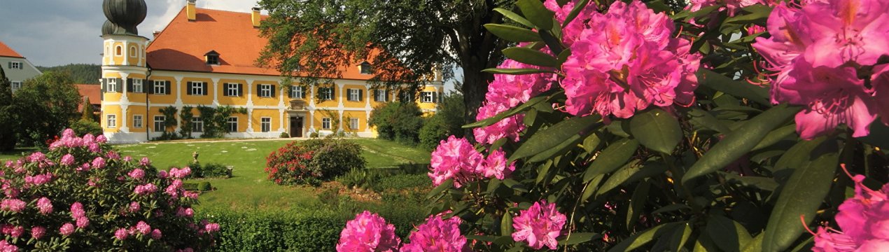 Швидкий розвиток цвітучих районів у Баварії