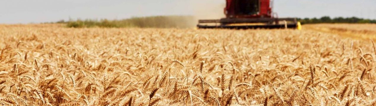 Міністерство сільського господарства Канади випускає план на 2020/21 роки