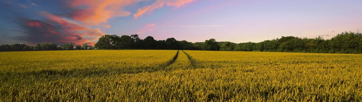 Фонд відновлення фермерських господарств Великобританії розширений на 4 округи