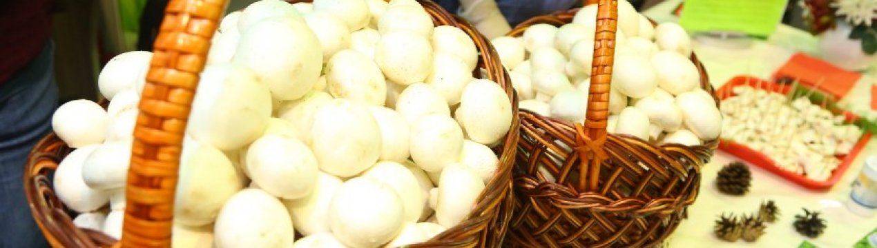 26-а спеціалізована виставка «Сибпродовольствие. Упаковка. Обладнання.» переноситься!