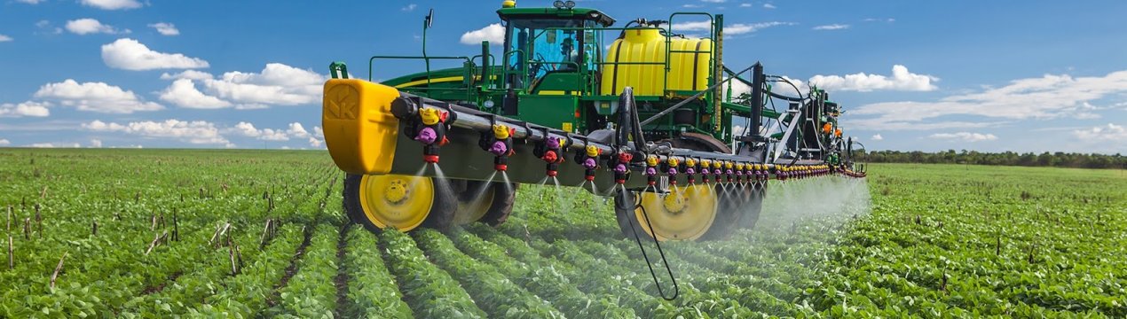 Збільшення площі вирощування пшениці в Бразилії через високий попит