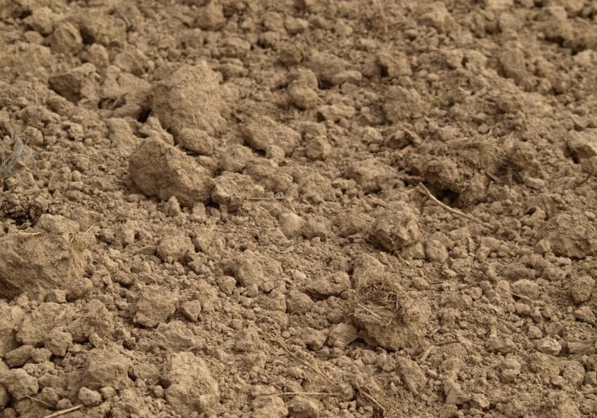 Глинистий ґрунт